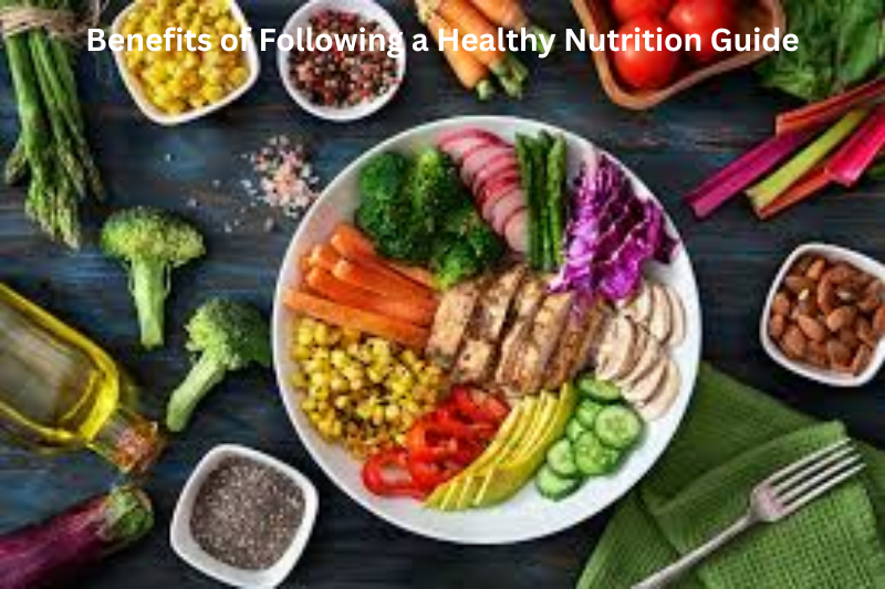 Benefits of Following a Healthy Nutrition Guide