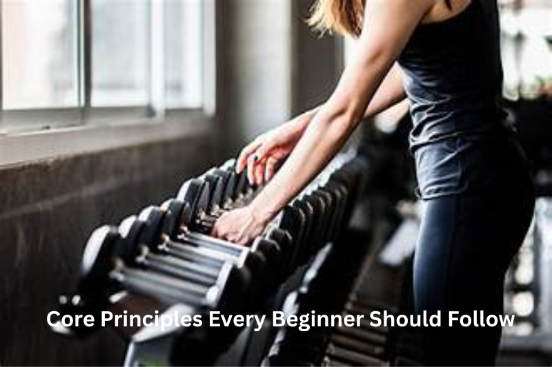 Core Principles Every Beginner Should Follow