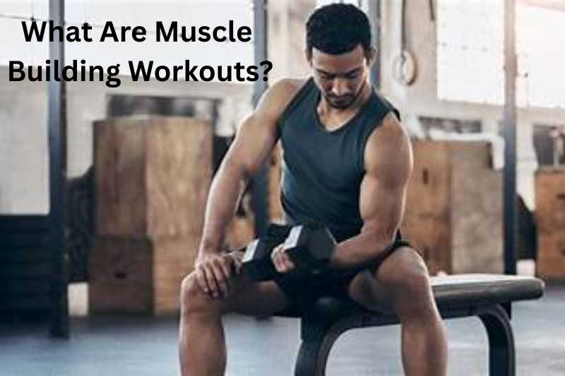 What Are Muscle Building Workouts
